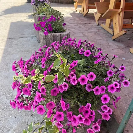 Globus Гостевой дом